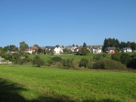 Das Dorf Gefell inmitten von Wiesen und Wäldern