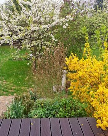 Aussicht in den Garten