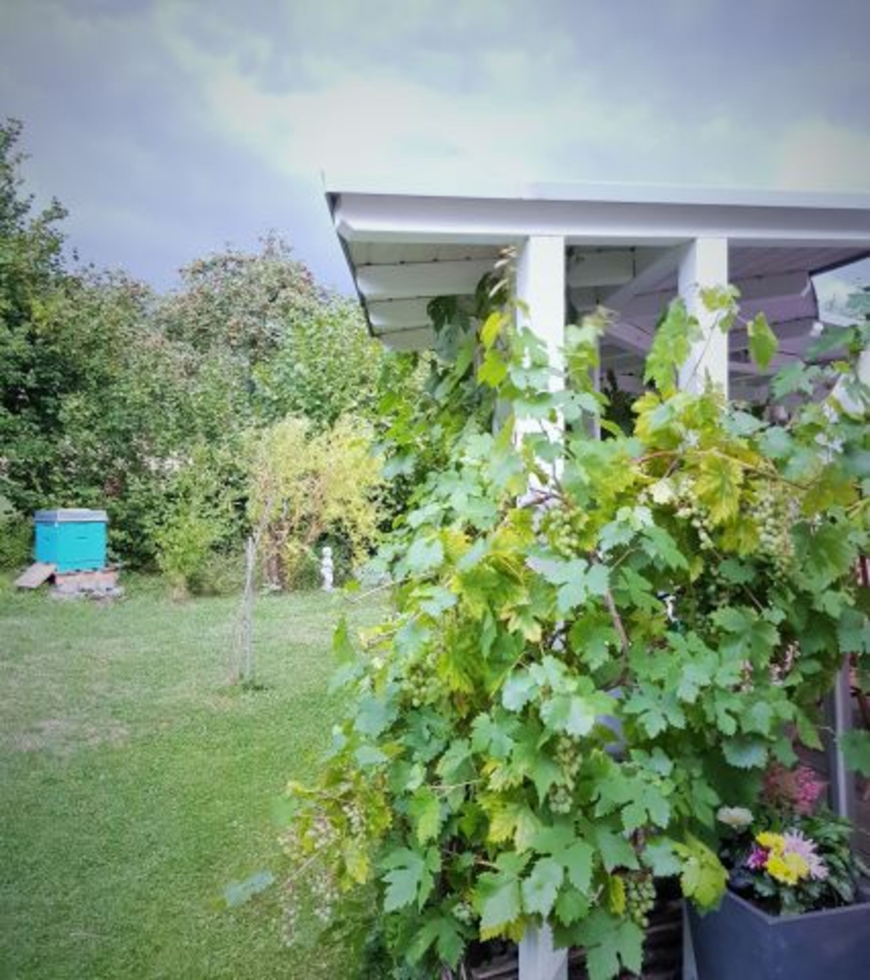 Garten mit Beute