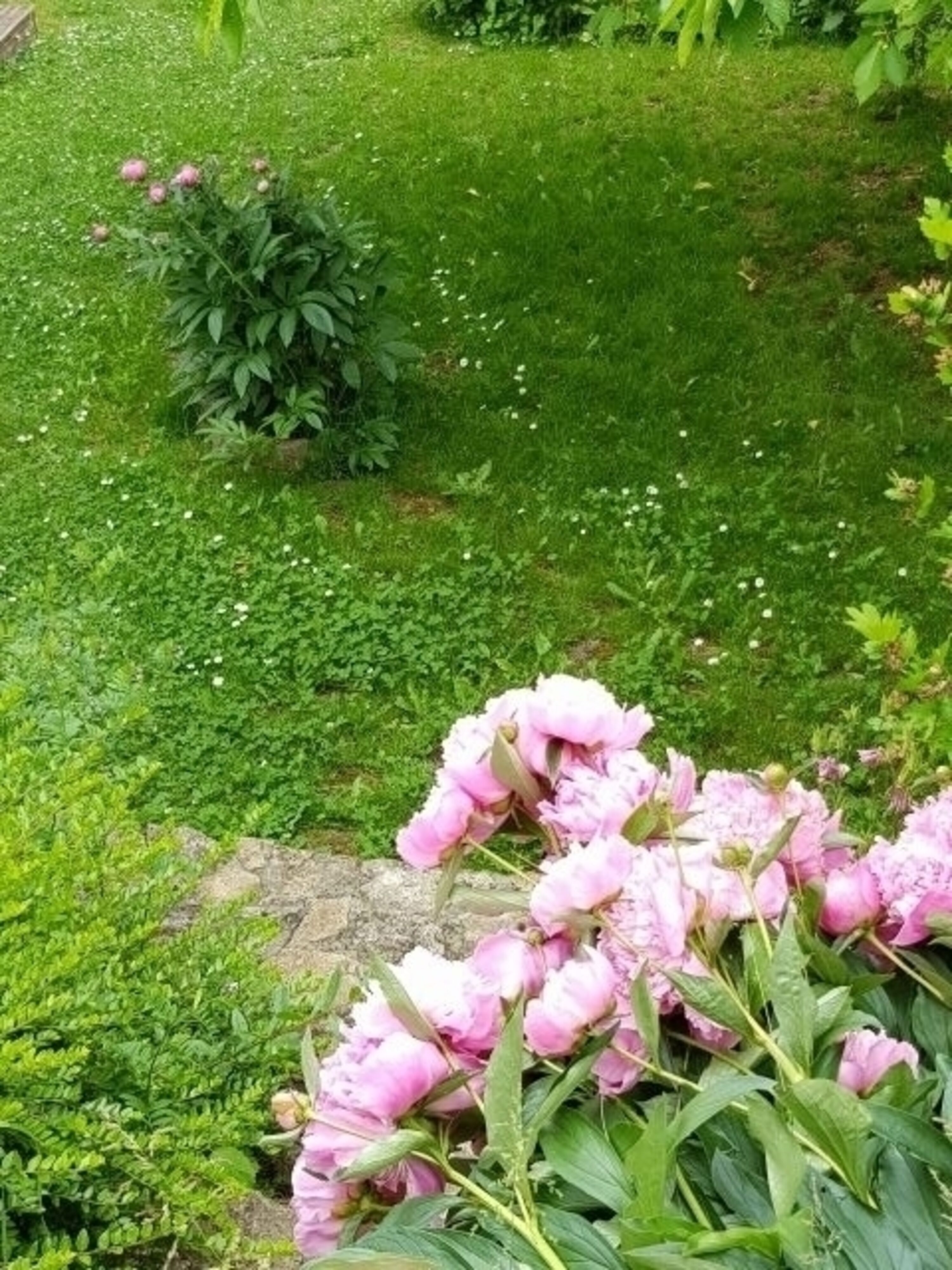 Bild 19