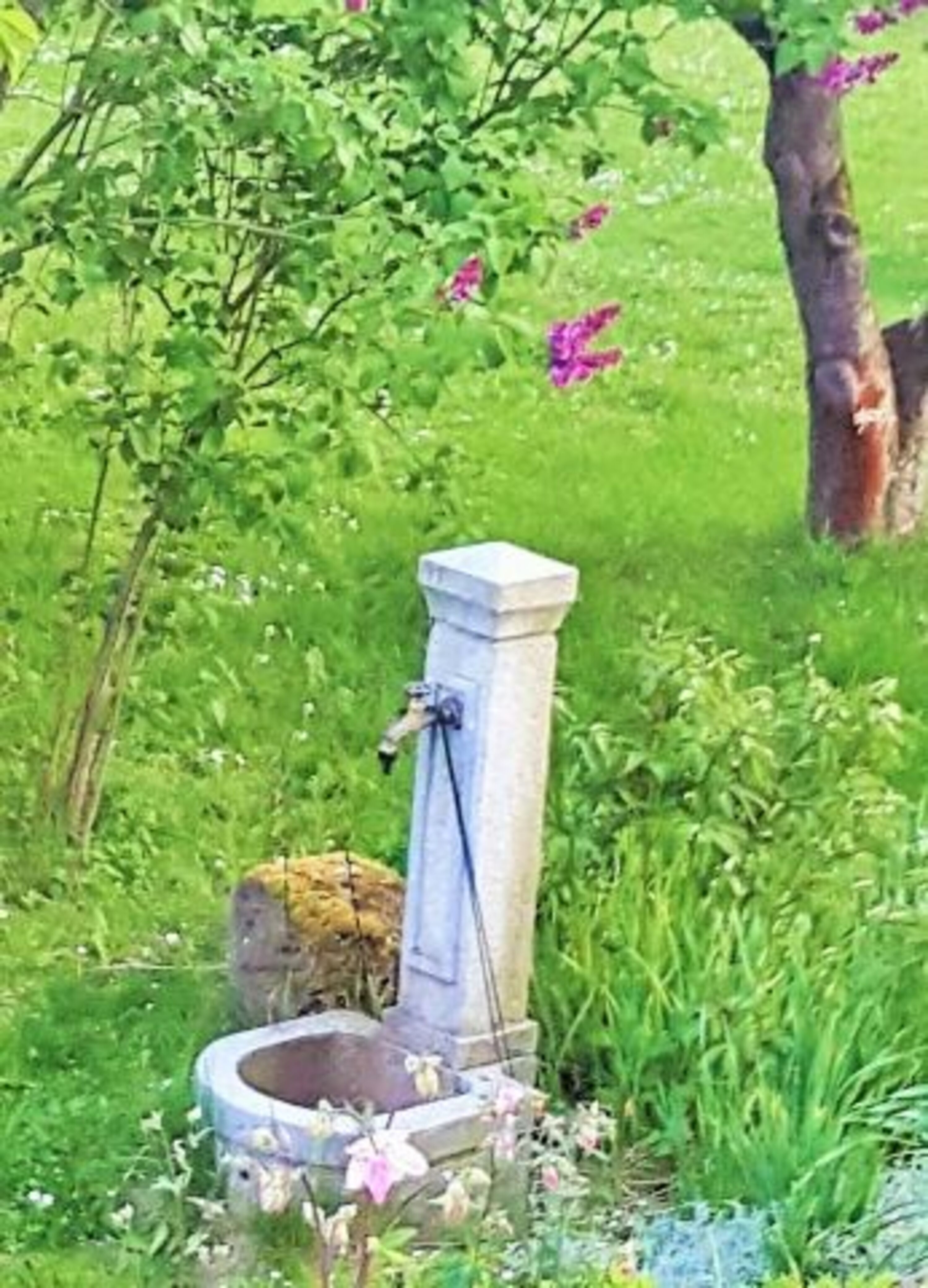 Garten
