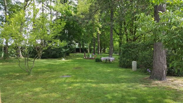 Blick in den ca. 1.500m² großen, eingezäunten, unterteilten Garten