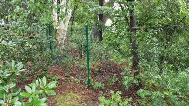 Maschendrahtzaun - Höhe ca. 1.25m/1.30m