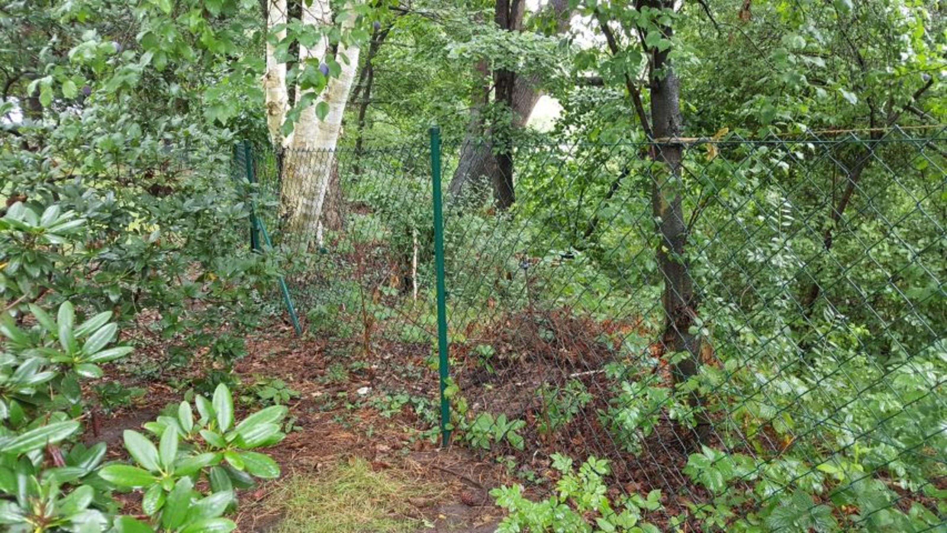 Maschendrahtzaun - Höhe ca. 1.25m/1.30m