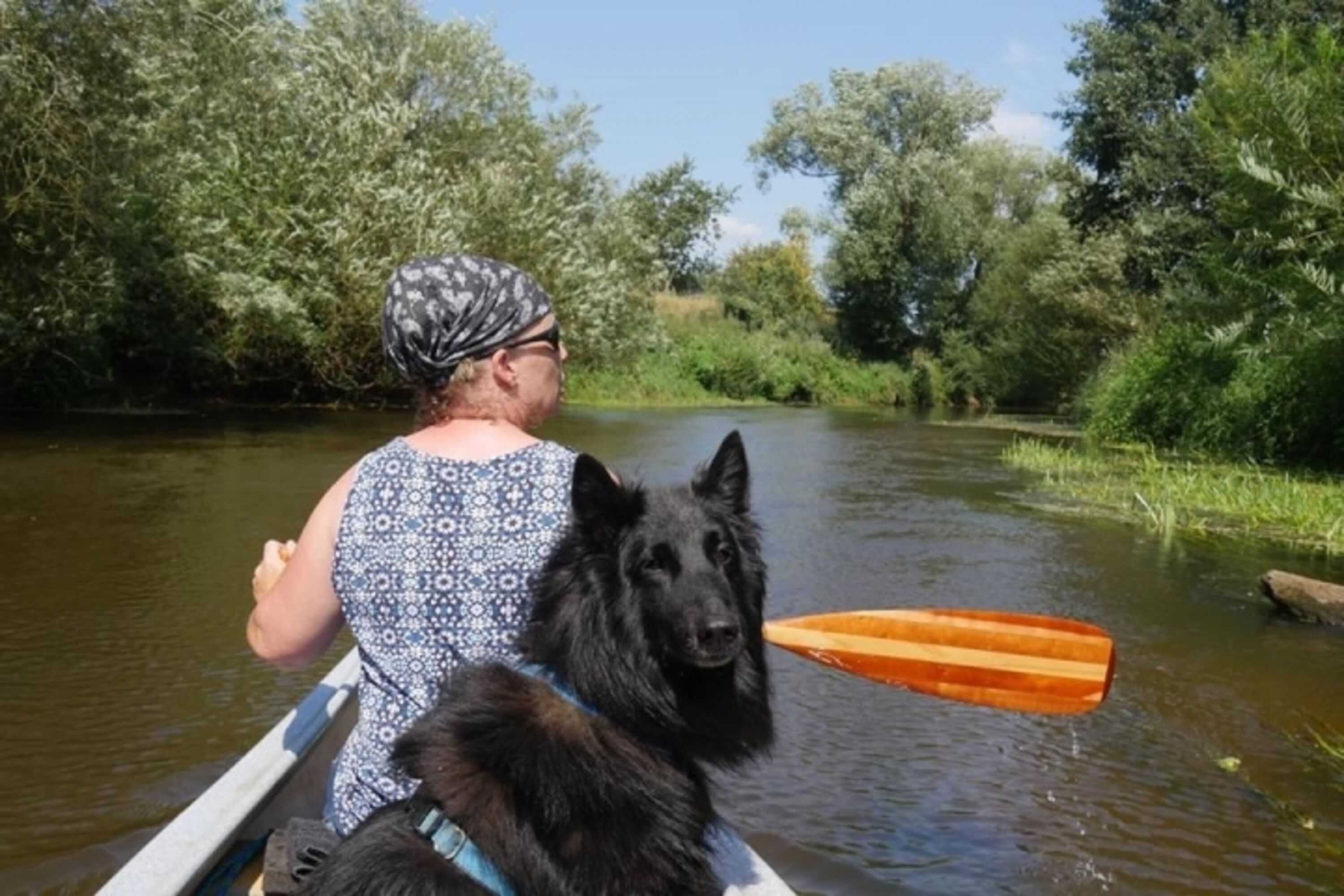 Kanufahrt mit Hund auf der Hunte