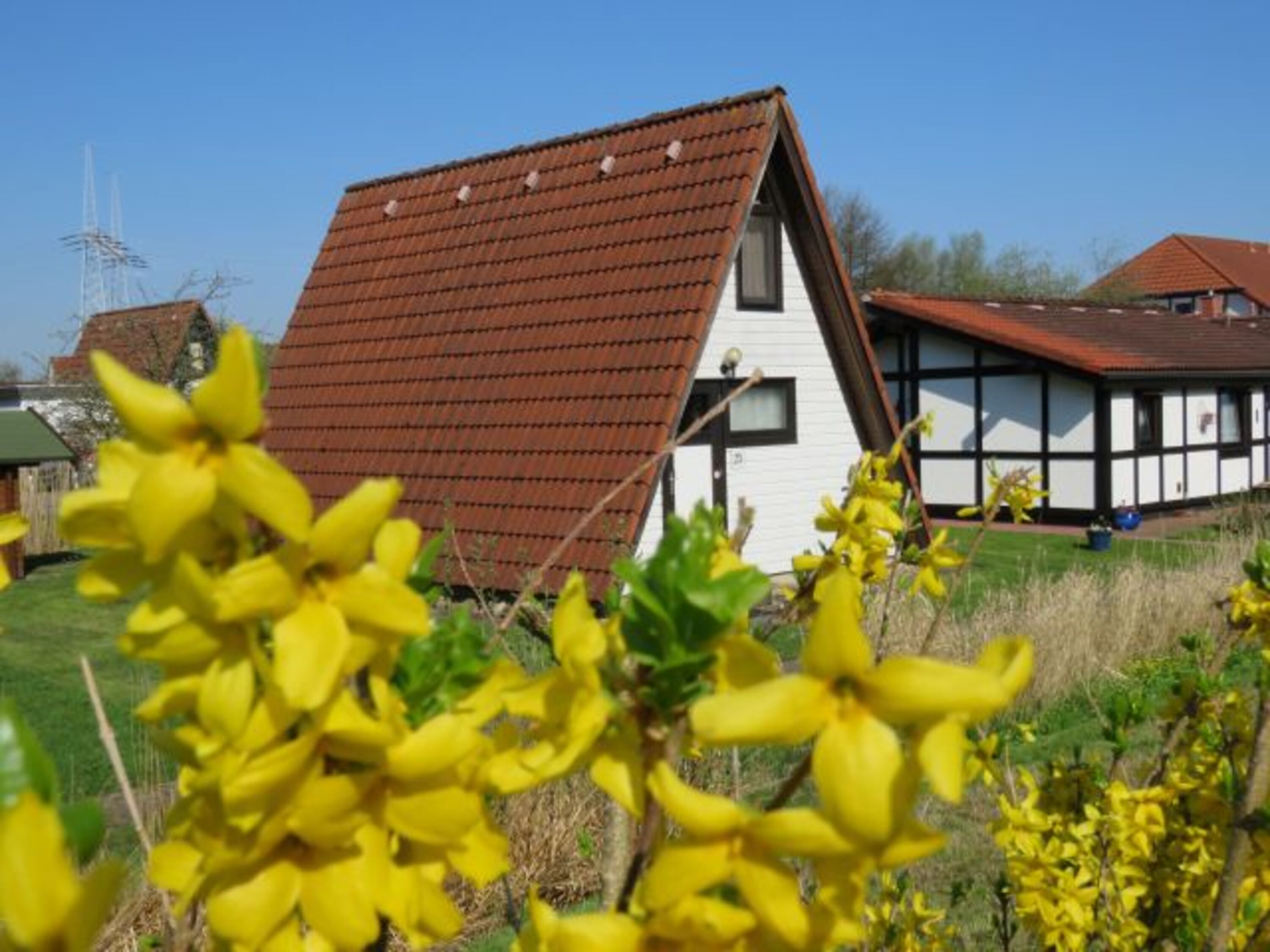 Hausbeispiel Wigwam