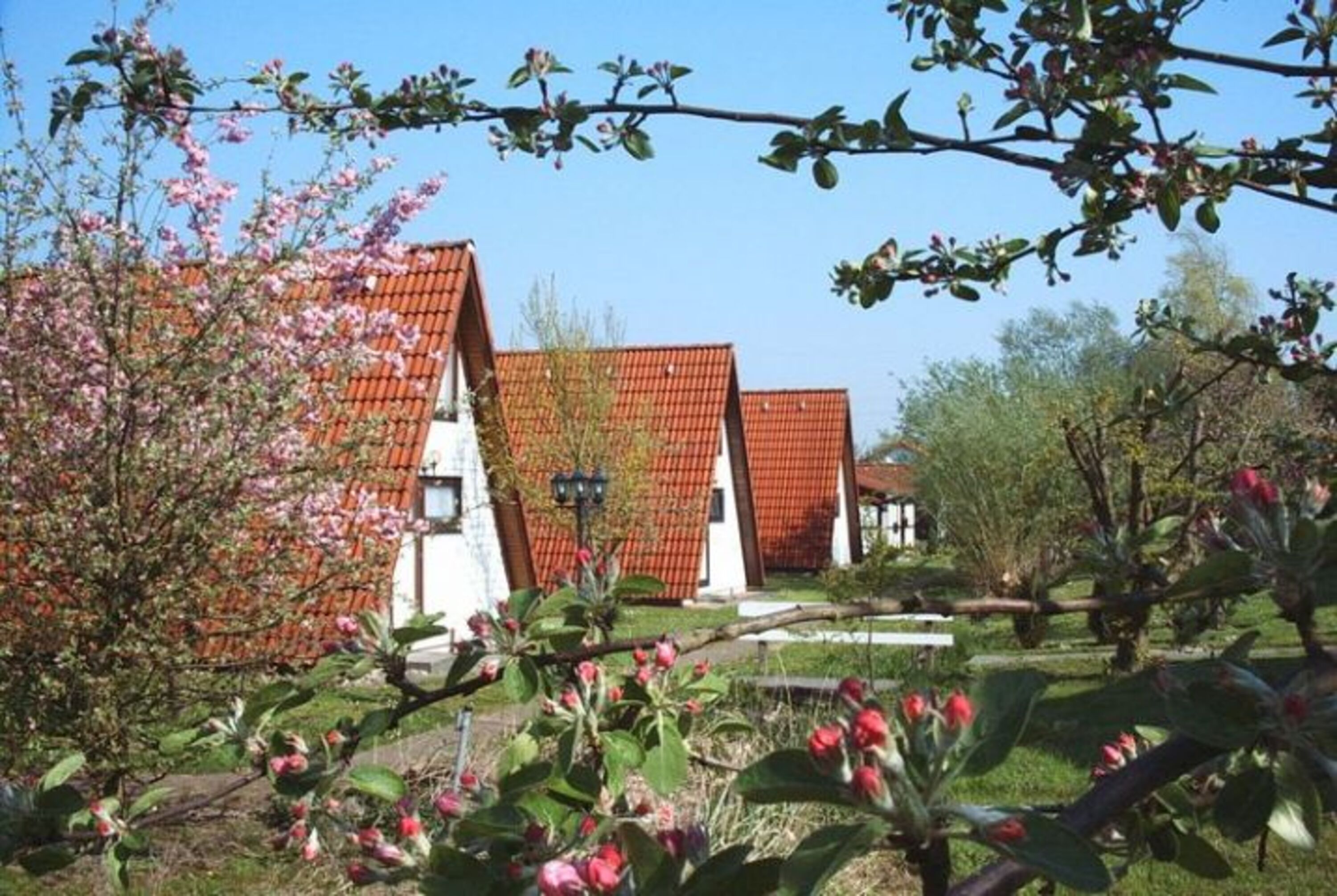 Hausbeispiel Wigwam