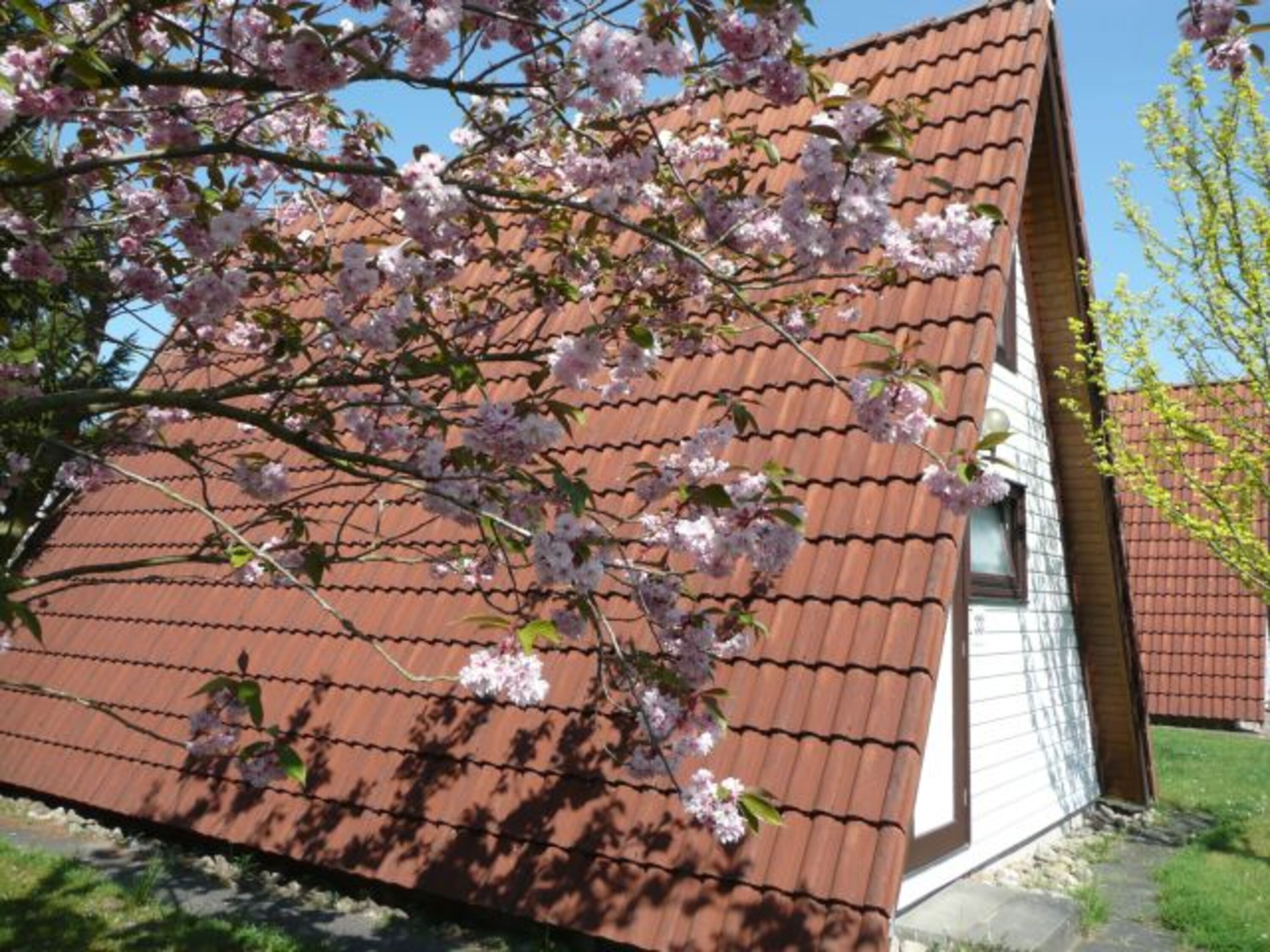 Hausbeispiel Wigwam
