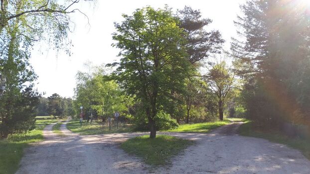 Qual der Wahl...es gibt viel zu entdecken