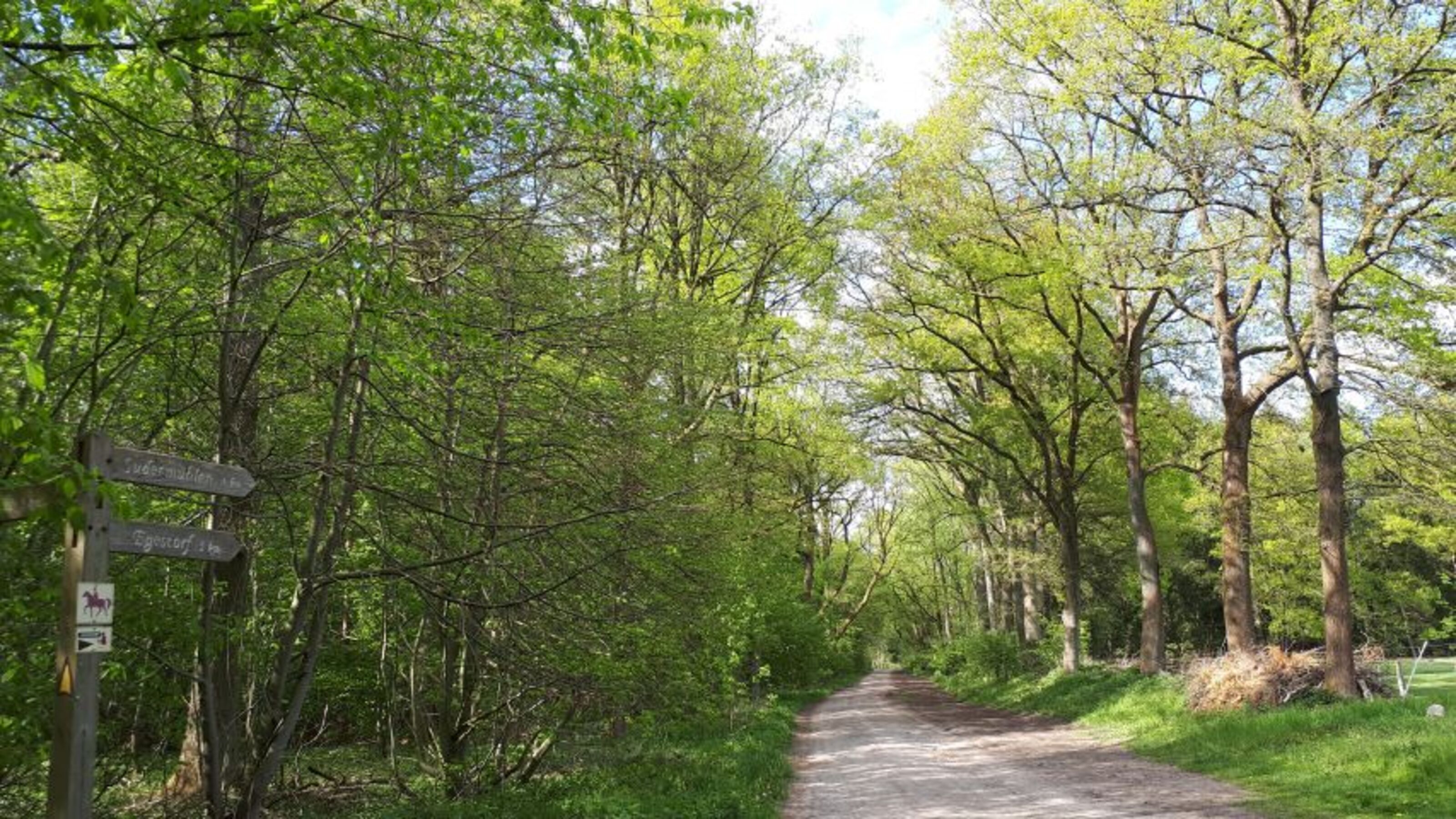 Bild 22