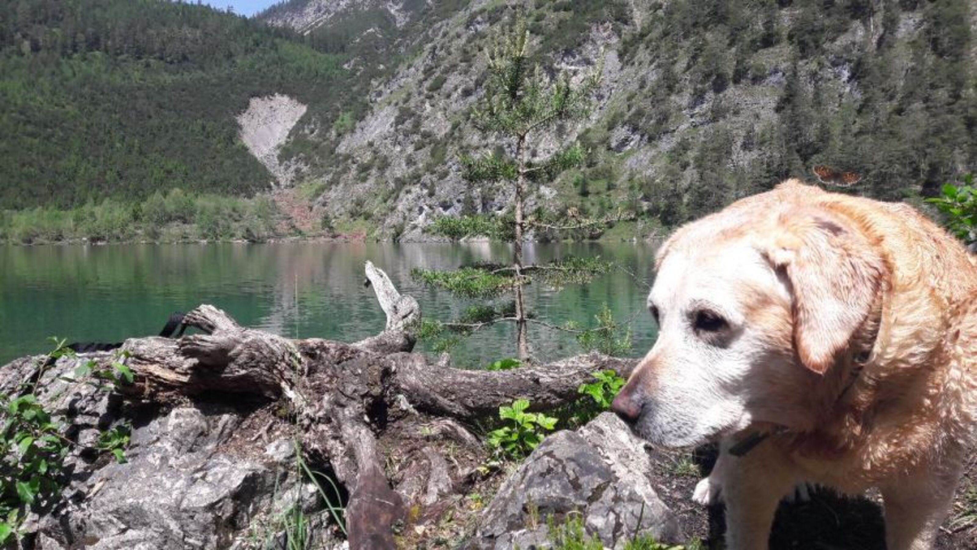 Bild 25