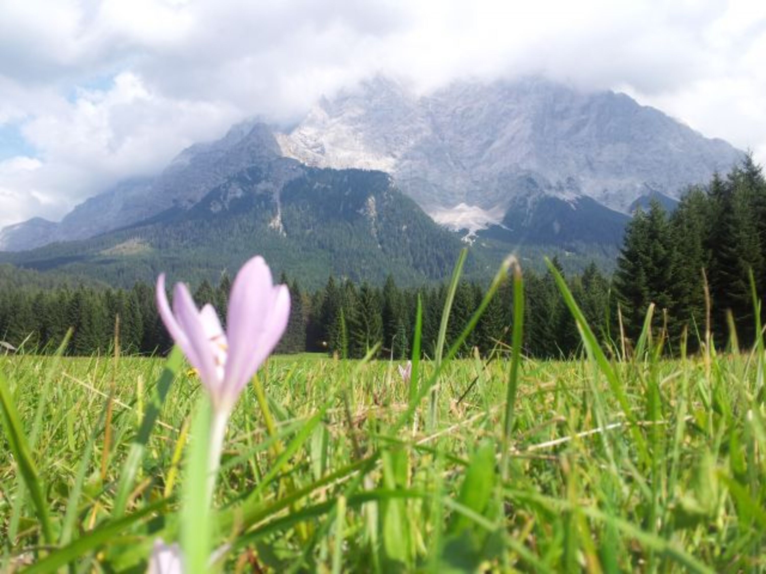 Bild 16