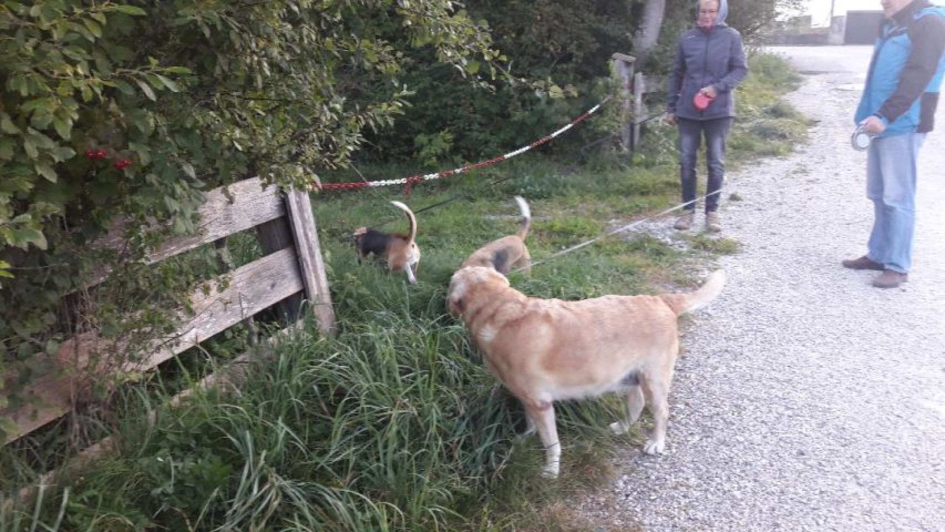 Bild 24