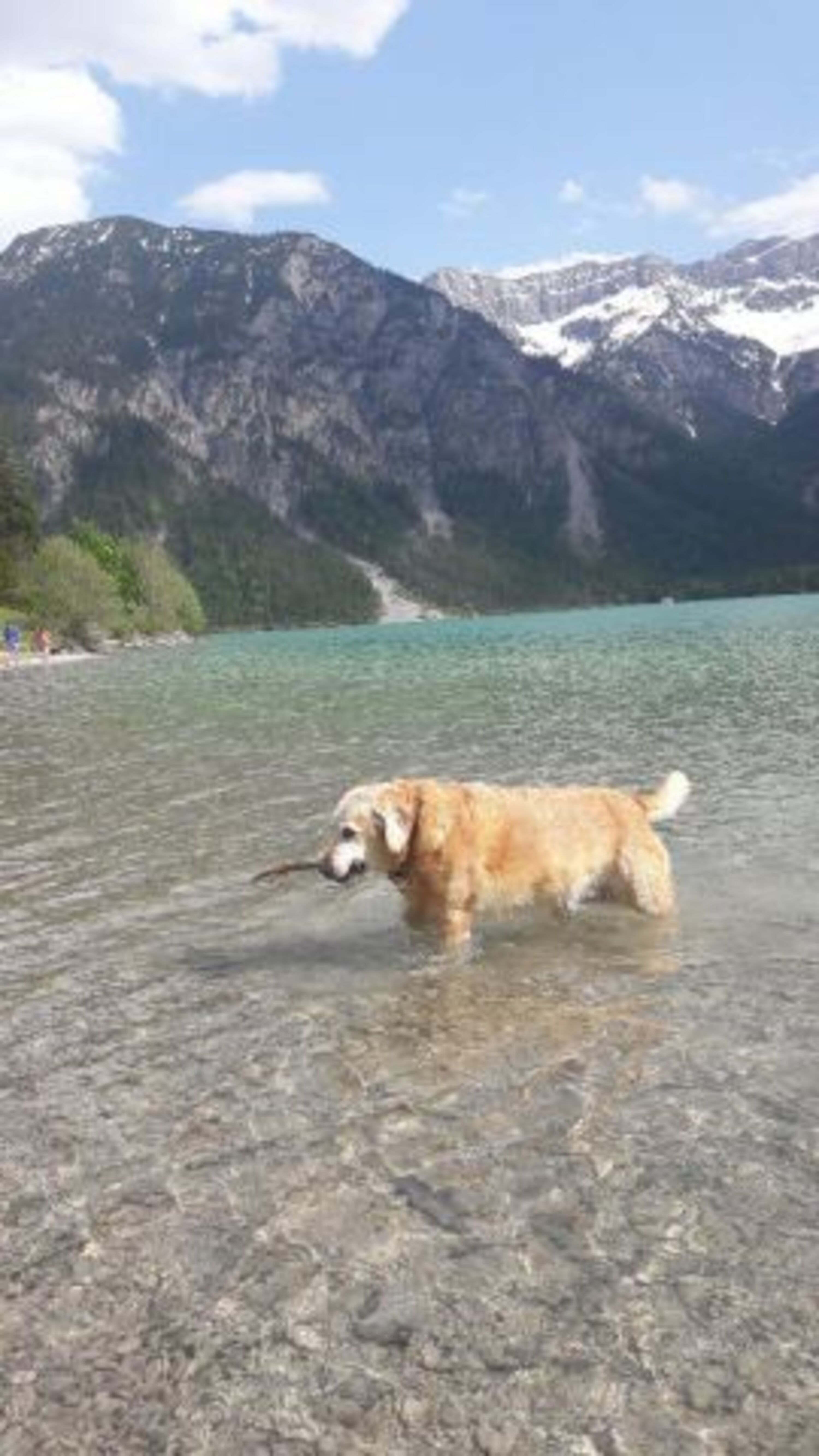 Bild 26