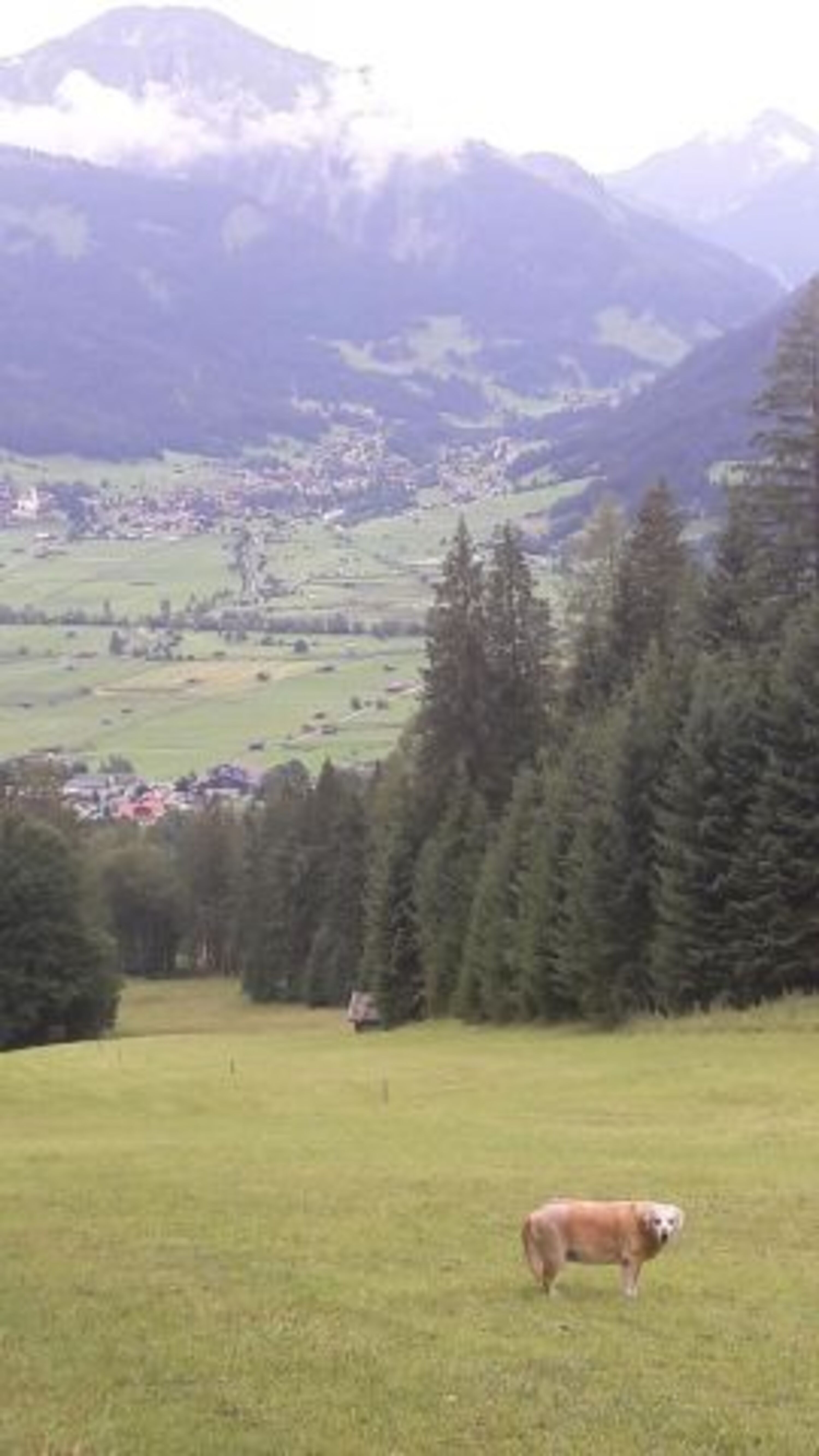 Bild 25