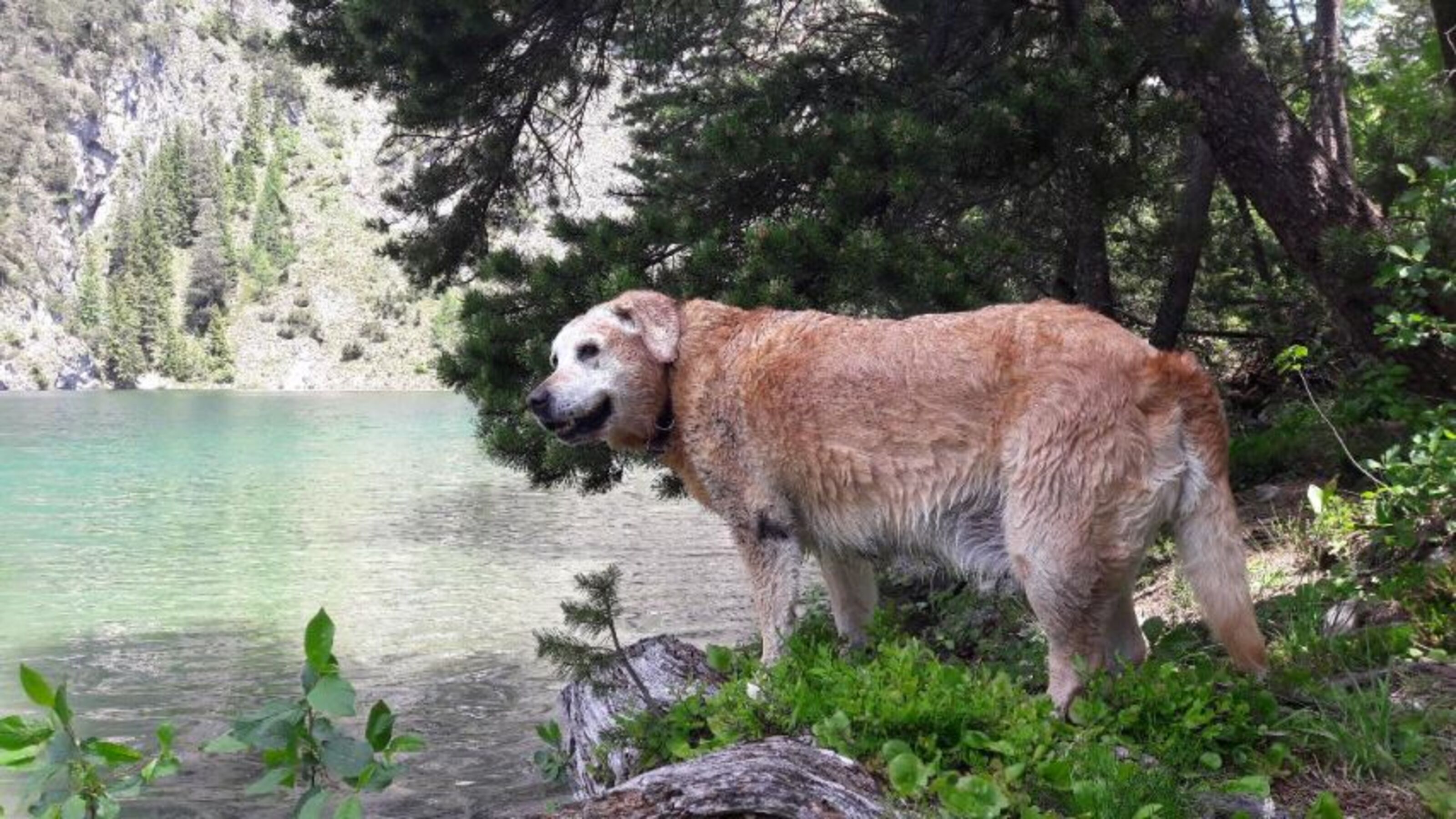 Bild 23