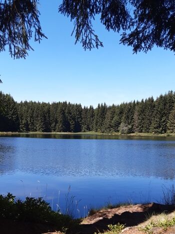 Teiche um Hahnenklee 