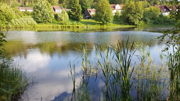 Weltkulturerbe Oberharzer Wasserwirtschaft
