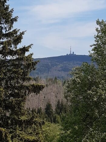 Blick zum Brocken von Torfhaus 
