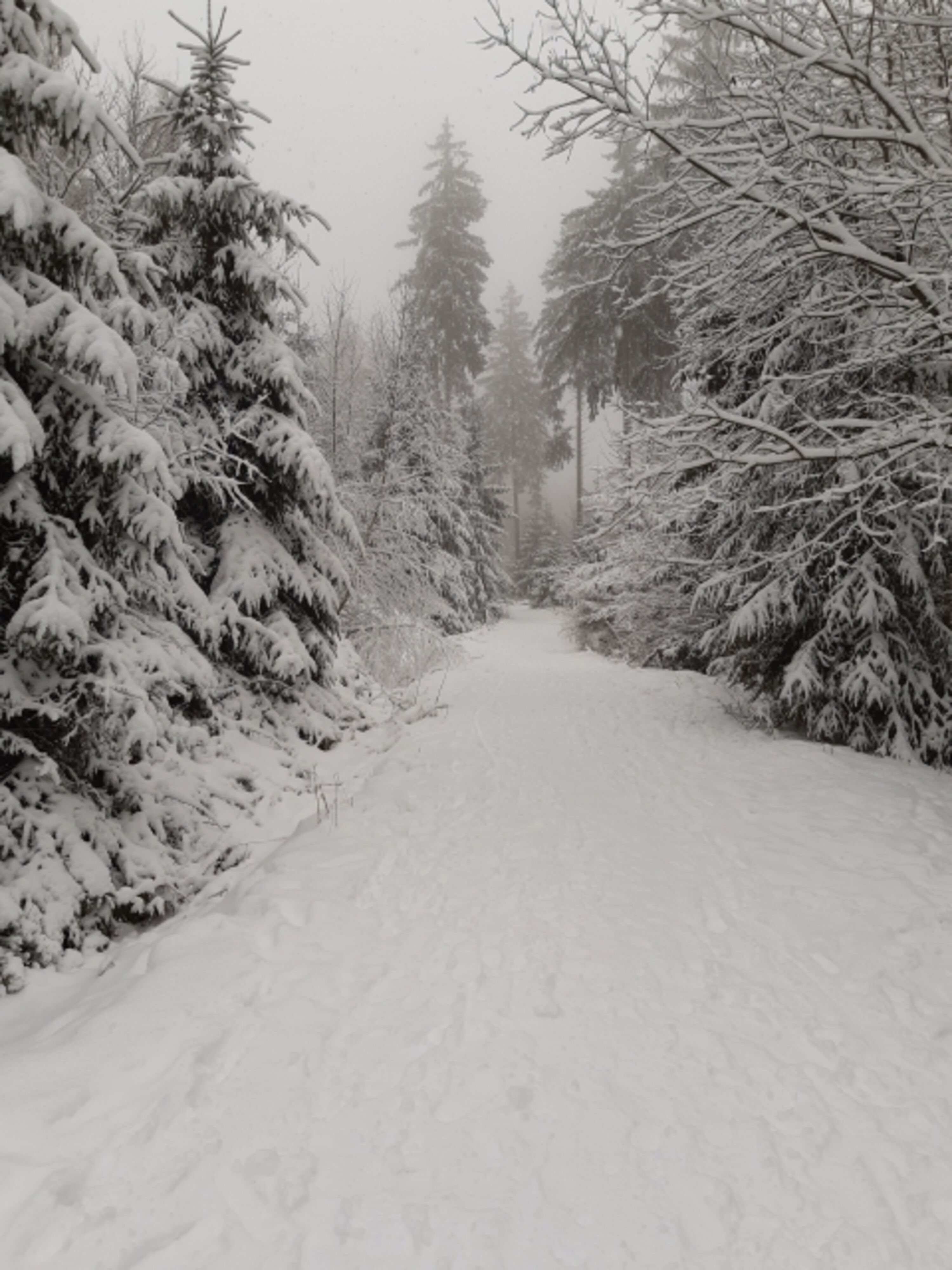 Winterlich 
