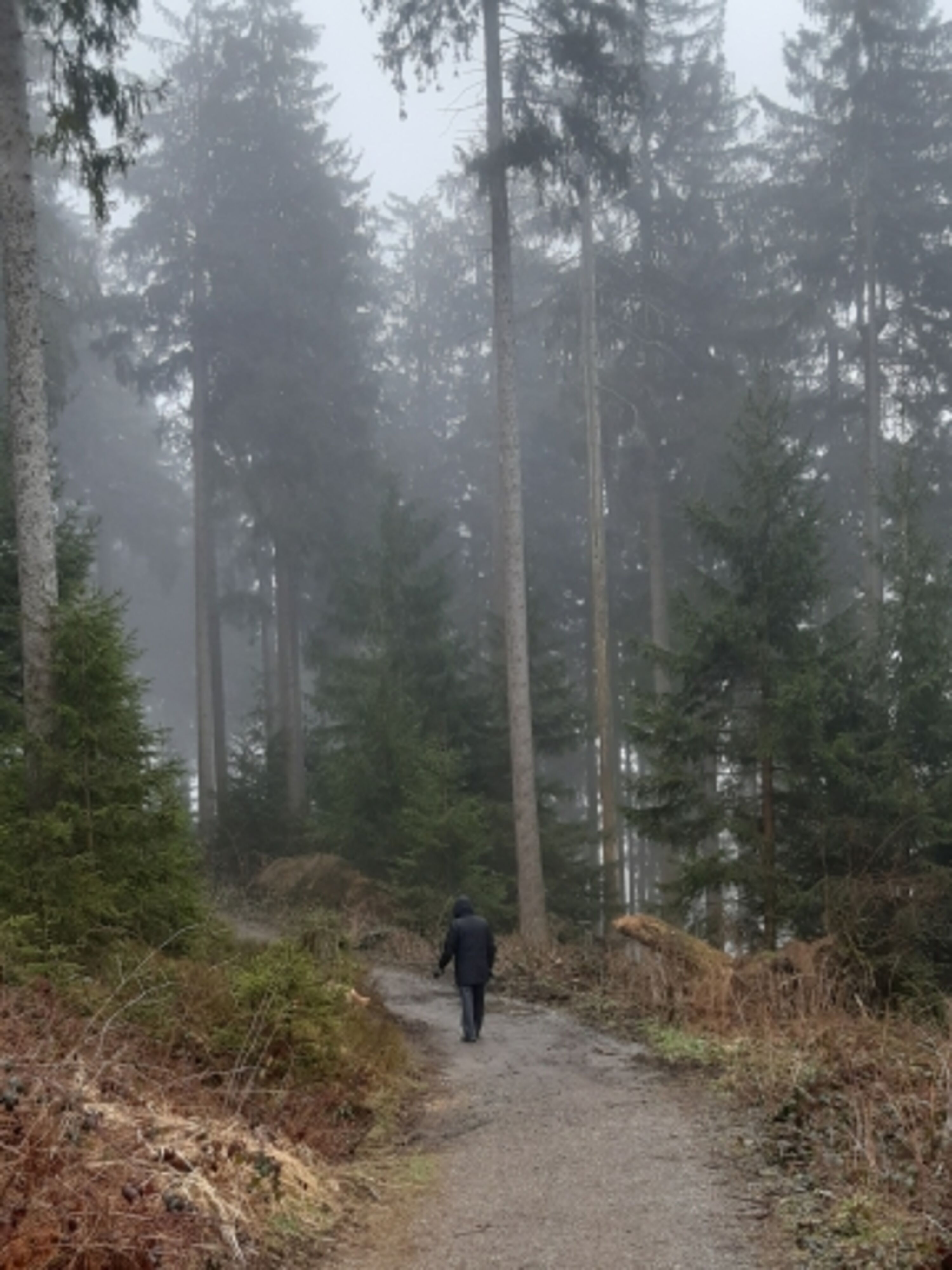 Wandern um Hahnenklee 