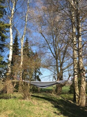 Die Hängematte mit Waldblick (für alle Gäste)