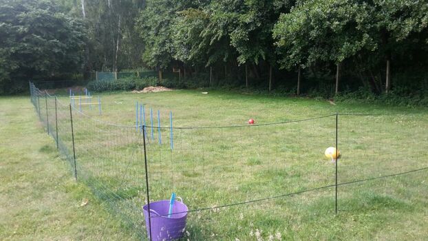 Der Hundespielplatz auf unserer Anlage