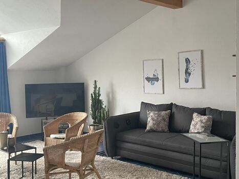 Schlafsofa mit Bloetooth-Empfang, Flat-tv für Netflix und Co