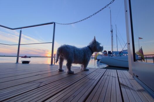 Terrasse Hausboot Fjord Lacerta Wendtorf
