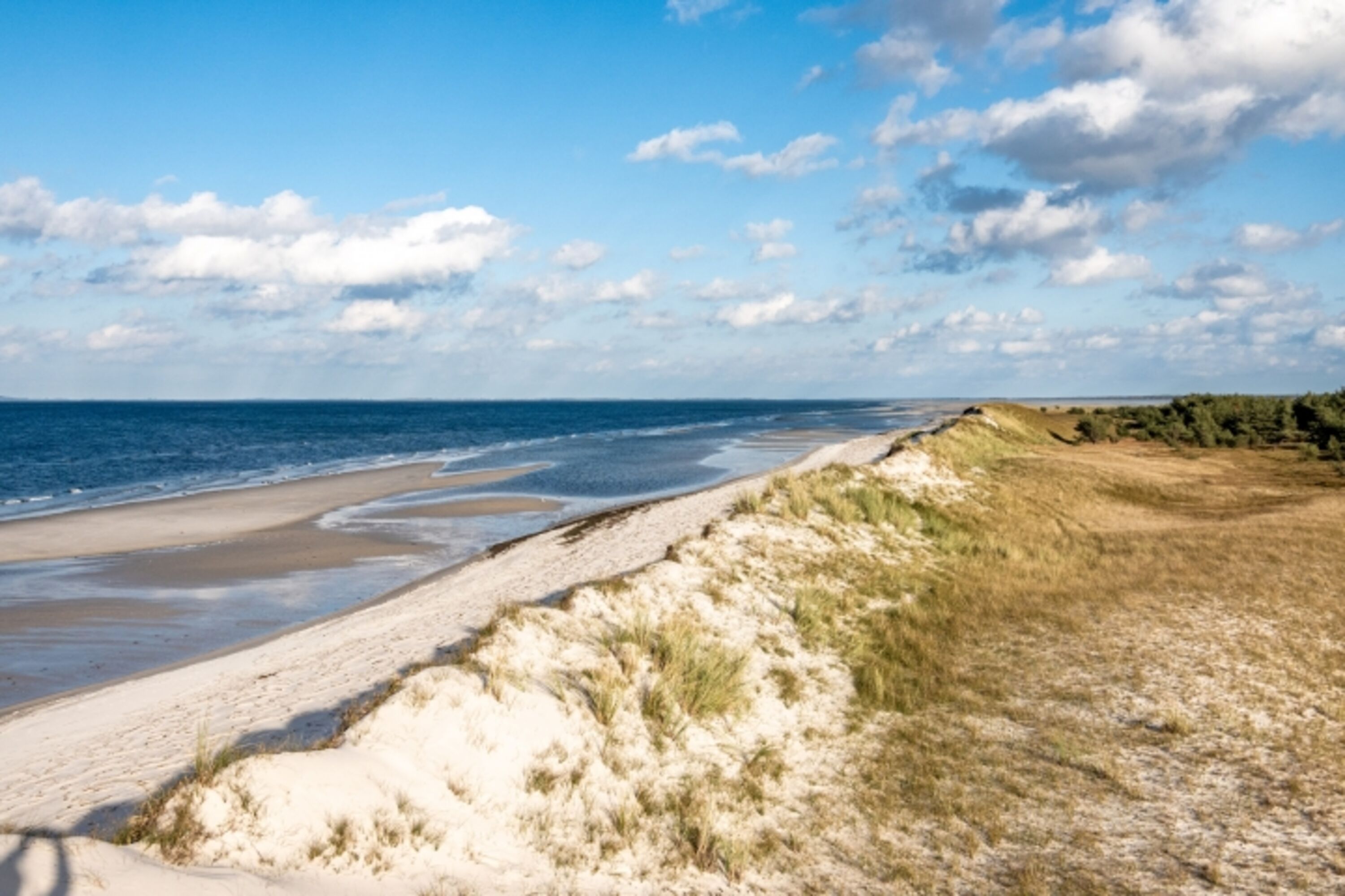 Strand/Dünenlandschaft im Nationalpark