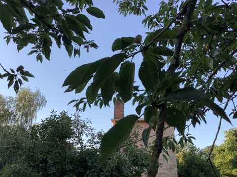 Eine andere Perspektive 