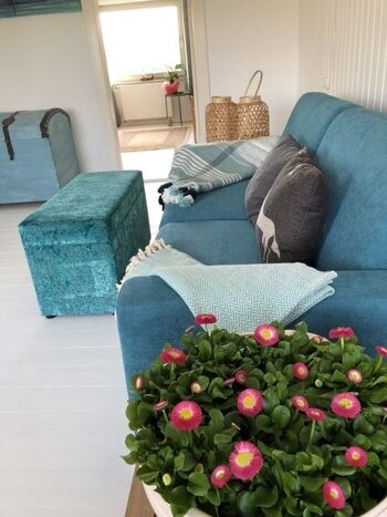 Wohnzimmer oben.Mit einem Handgriff kann die Couch in ein bequemes Doppelbett verwandelt werden!