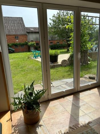 Apartment: Blick durch die Terassentür in den Garten