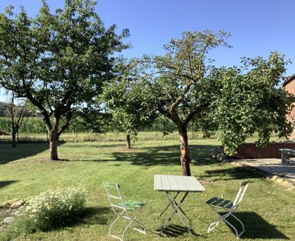 Der Blick in die Felder 