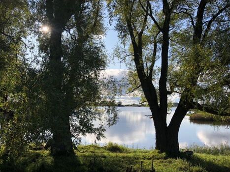 Die Üselitzer Wiek - traumhaft - auch für schöne Spaziergänge