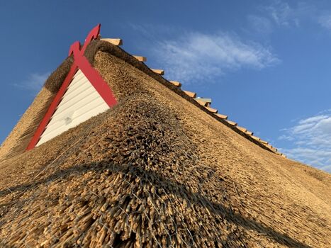 Rügentypisch - mit tollen Pferdeköpfen