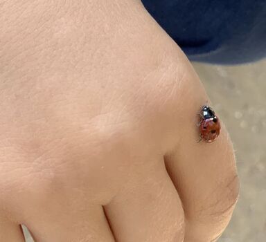 Unser Glücksbringer vor Ort:)