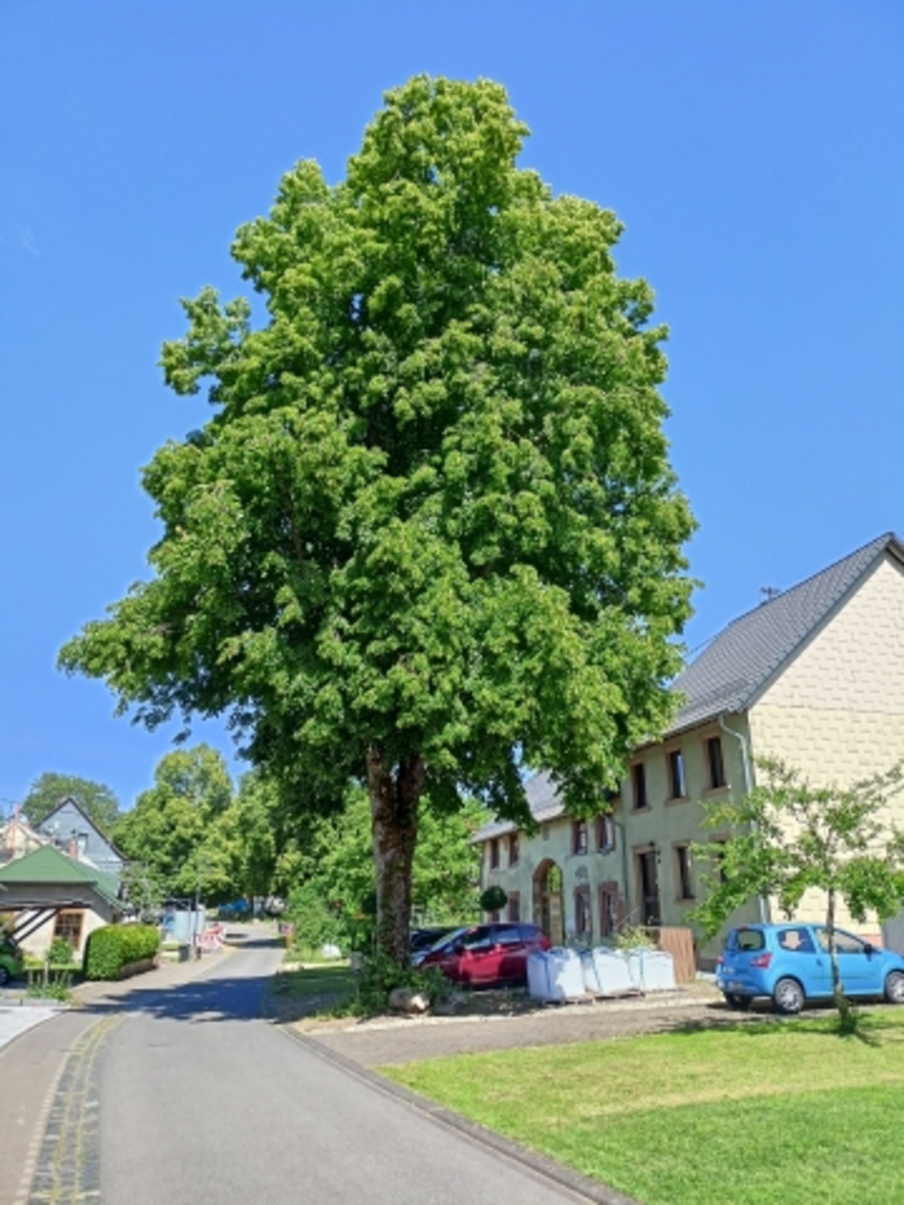 Bild 19