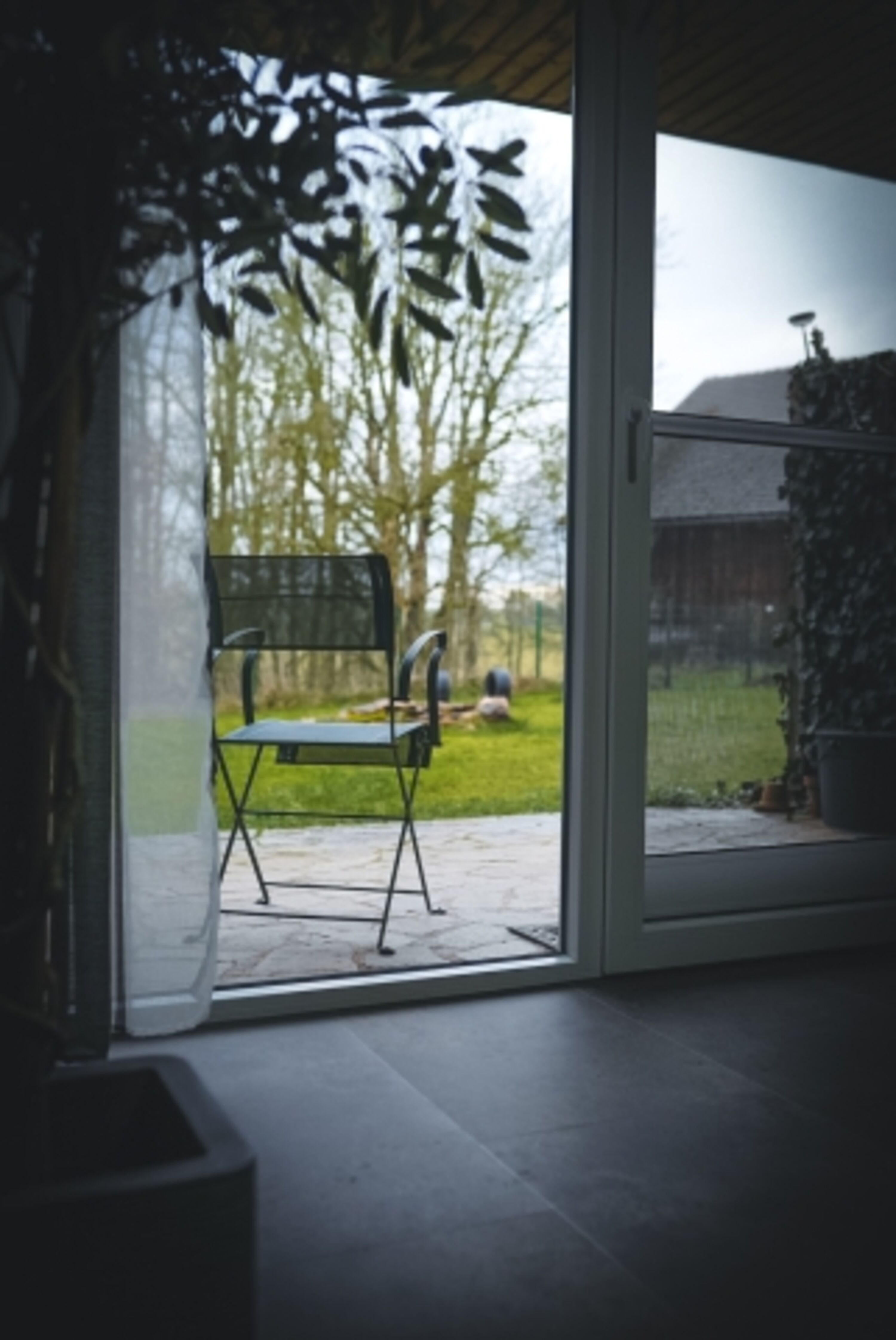 Blick in den Garten