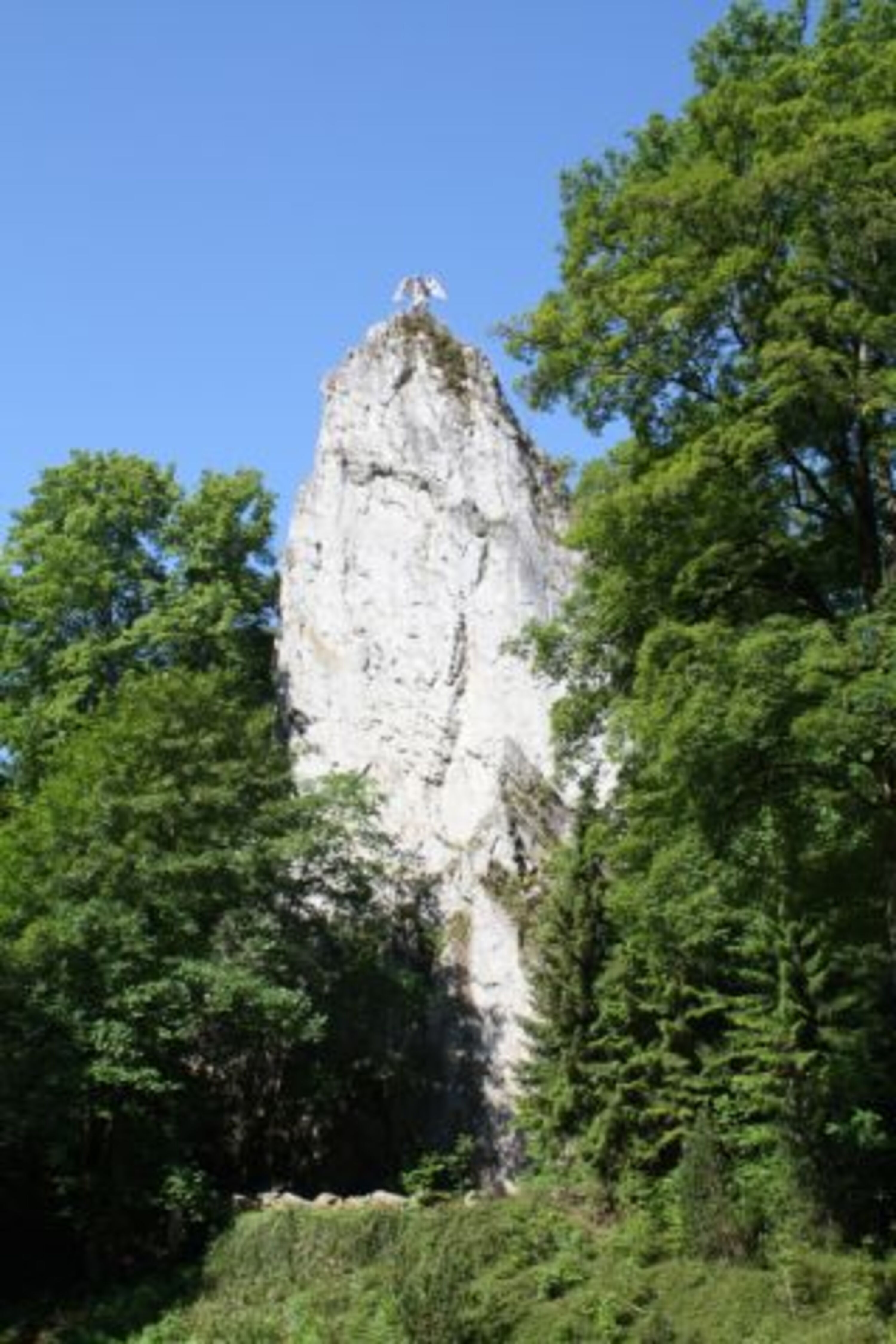 Bild 7