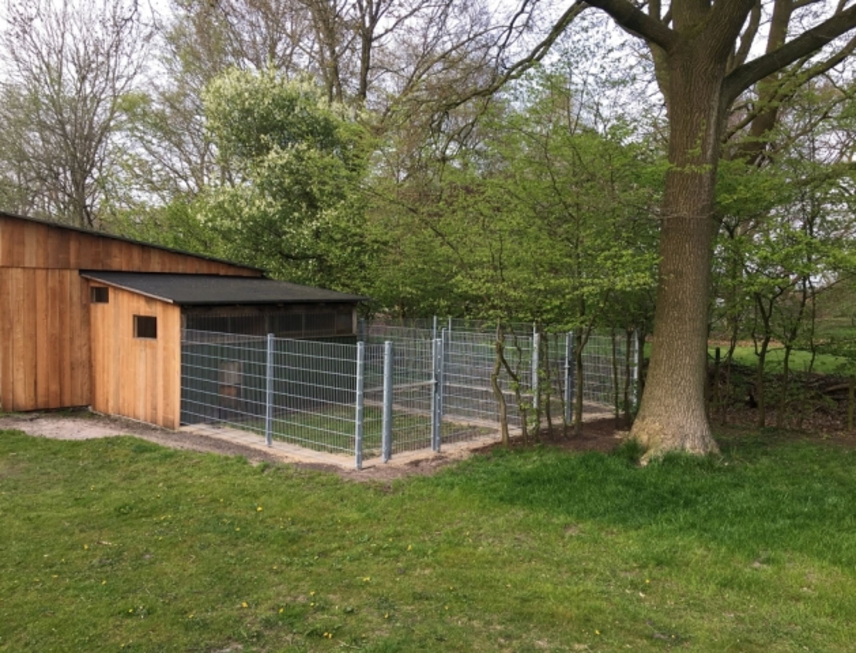 Zwingeranlage