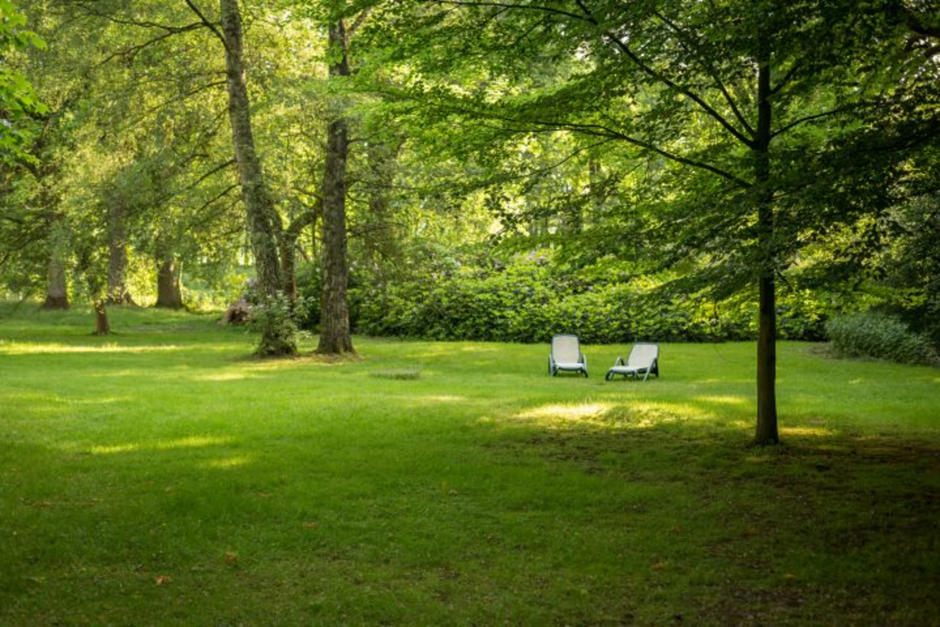 Park
