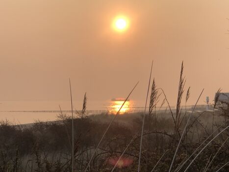 Spaziergänge am Morgen