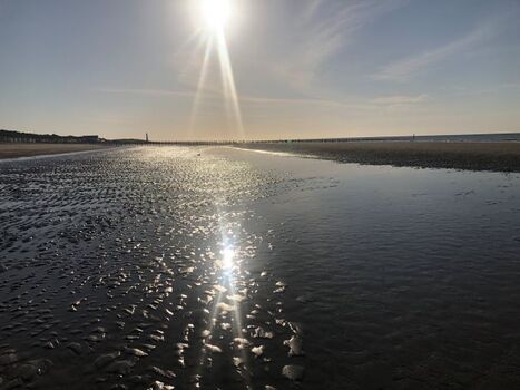 Breskens Strand… ein Traum!