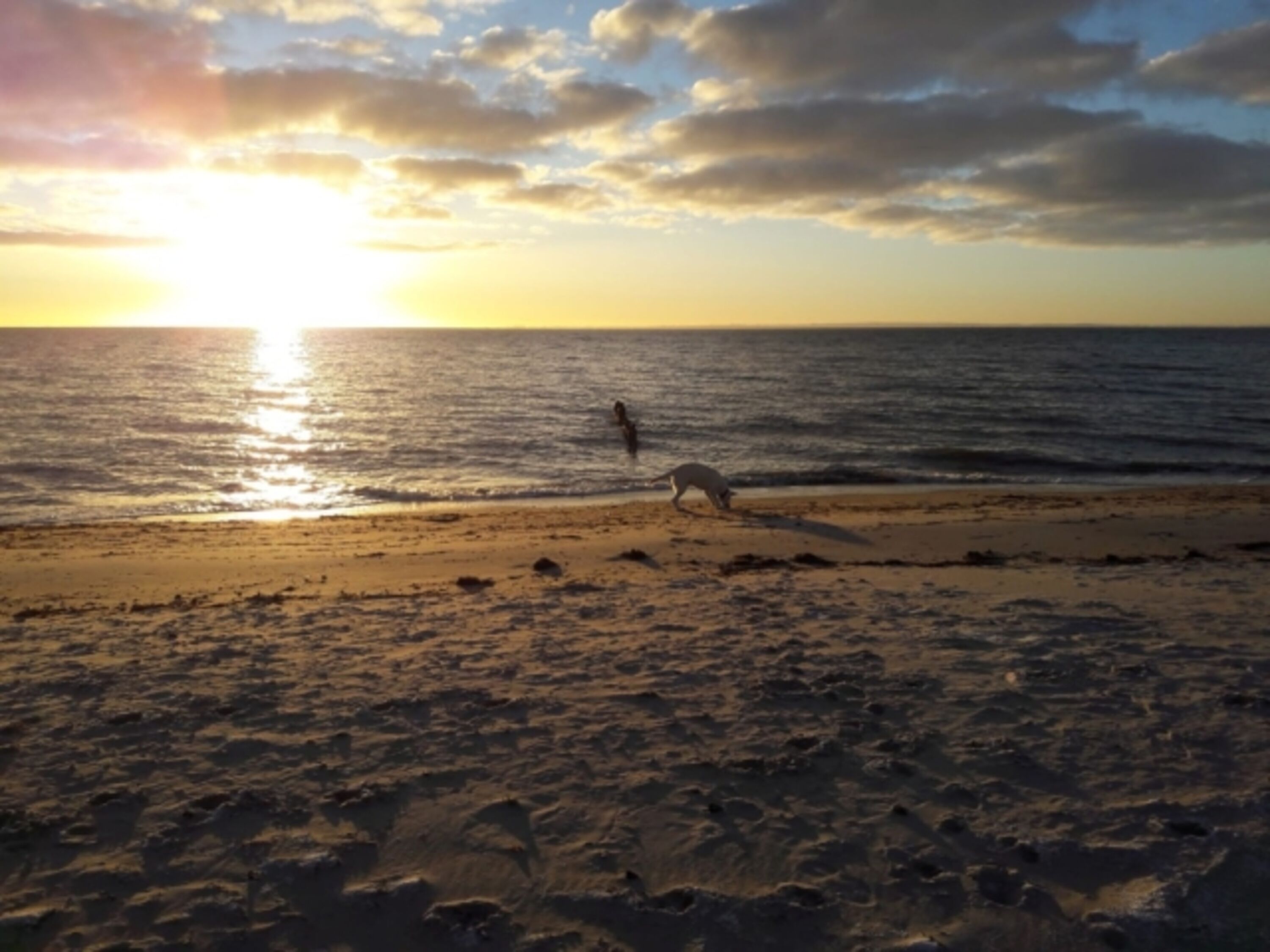 Bild 10