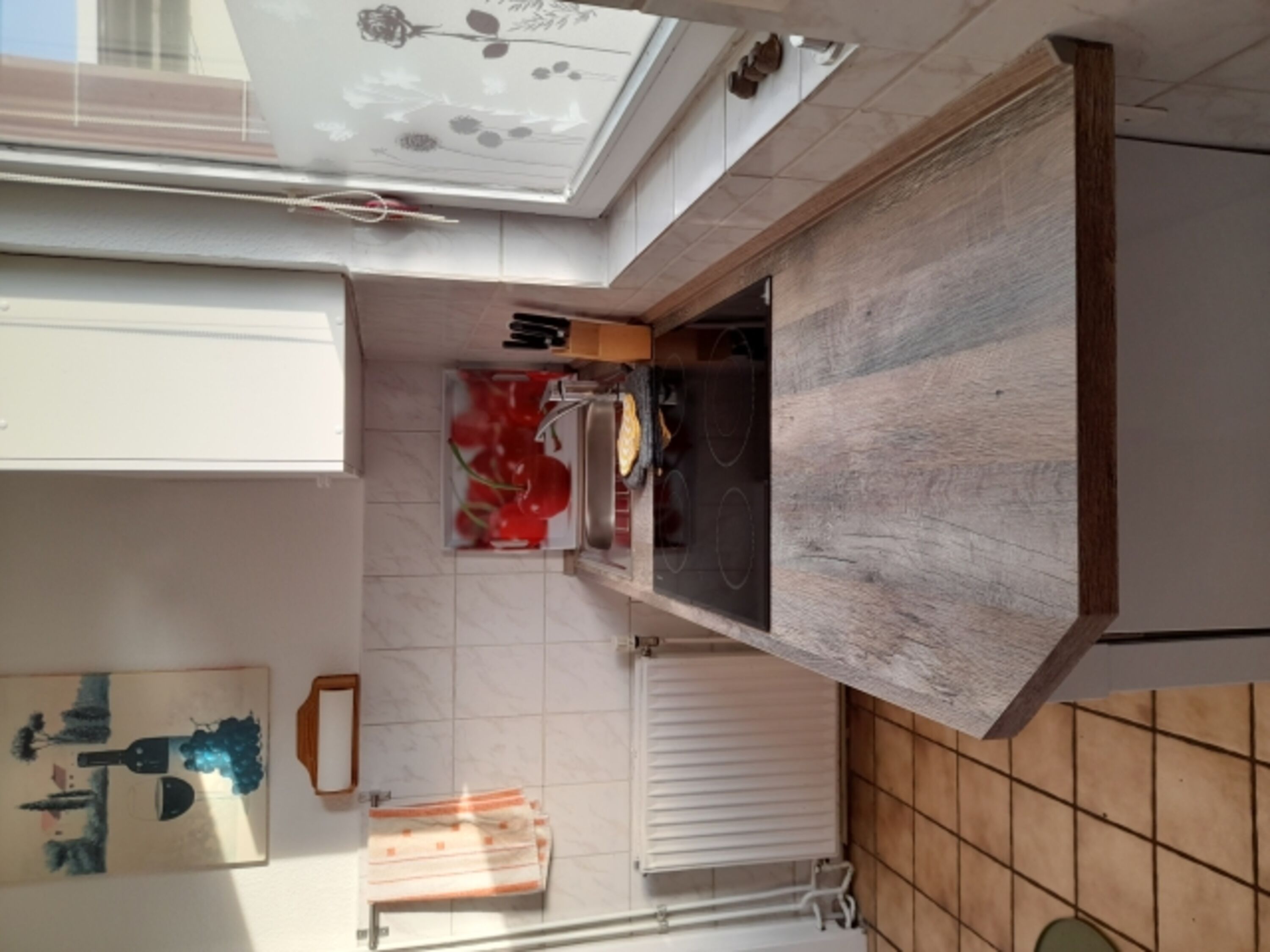 Bild 15