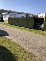 Gepflegtes Mobilheim Skemer auf Texel, Zaun, WLAN