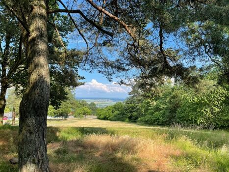 Ausblick am Limesturm