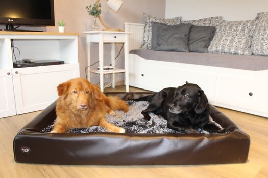 Hundebett Größe XL