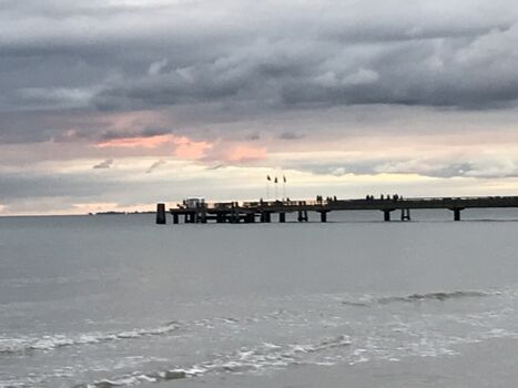 ... der ganz besonderen Art beobachten! 